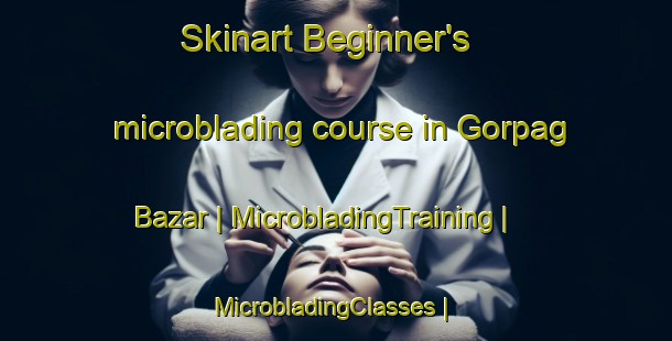 Skinart Beginner's microblading course in Gorpag Bazar | MicrobladingTraining | MicrobladingClasses | SkinartTraining-Pakistan